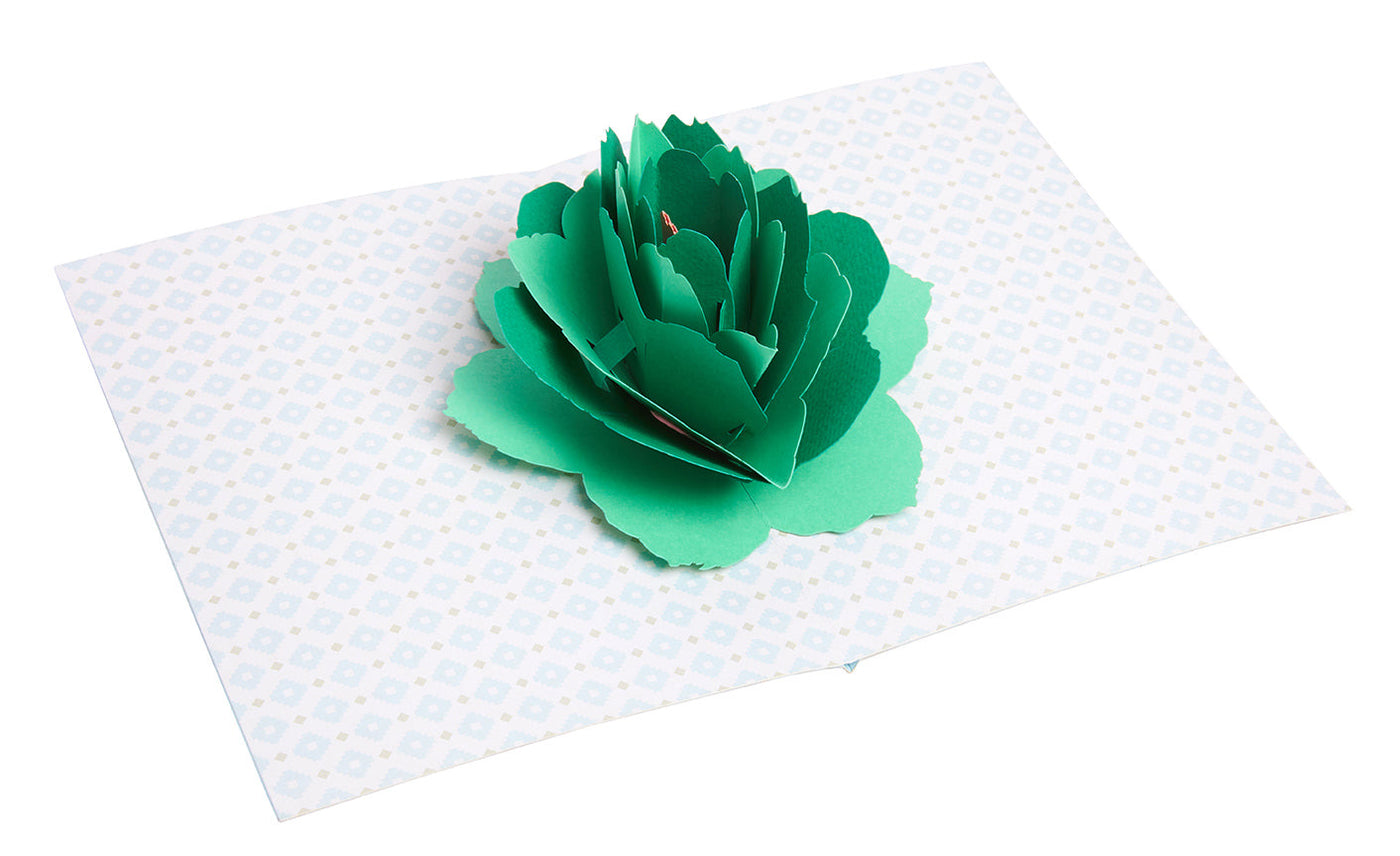 Succulent Signature Pop-Up Card [Birthday] inside page 1