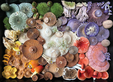 Mushroom Medley Jigsaw Puzzle inside page 1