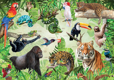 Rainforest Animals inside page 1