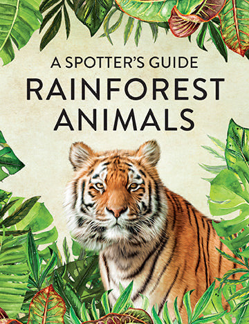 Rainforest Animals inside page 2
