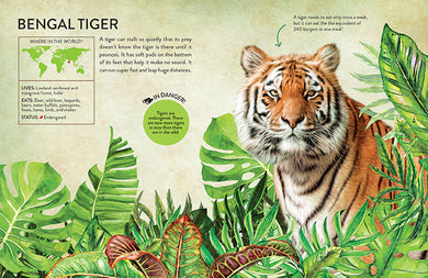 Rainforest Animals inside page 3