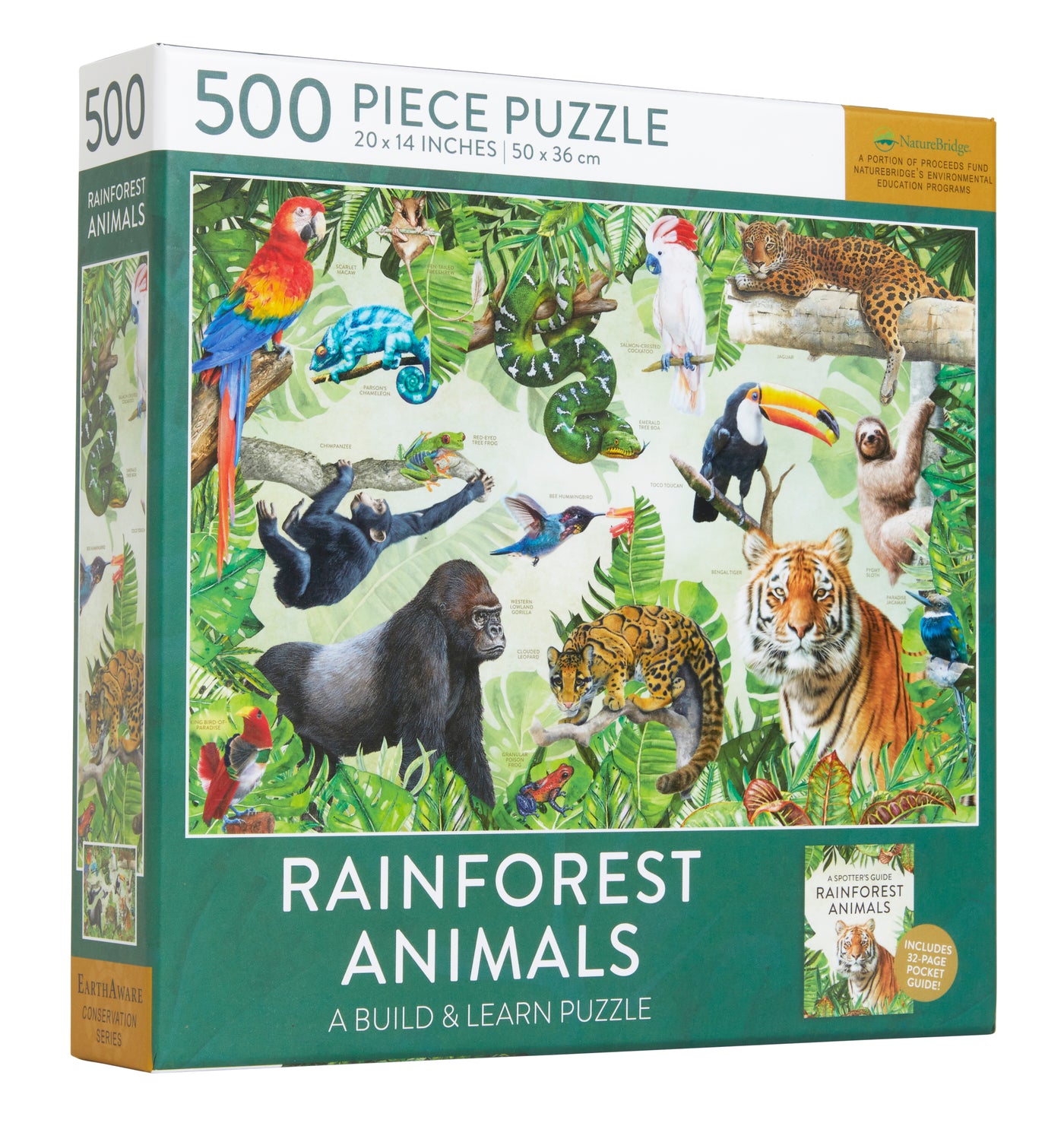 Rainforest Animals