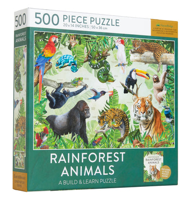 Rainforest Animals