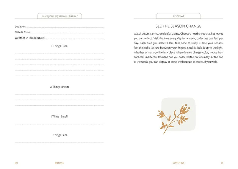 Thrive Where You're Planted US - Hardback