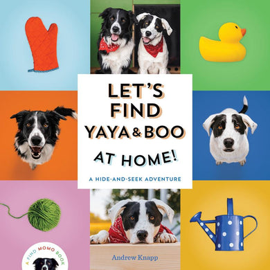 Let's Find Yaya and Boo at Home!-Children’s / Teenage general interest: Nature and animals-買書書 BuyBookBook