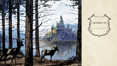 Harry Potter: Hogwarts Ruled Pocket Journal [Reformat] inside page 3
