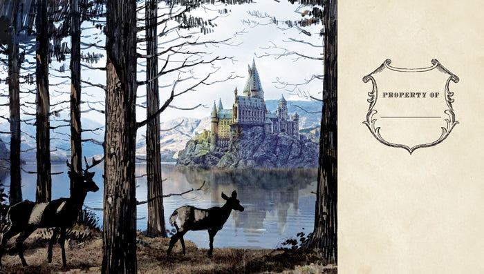 Harry Potter: Hogwarts Ruled Pocket Journal [Reformat] inside page 3