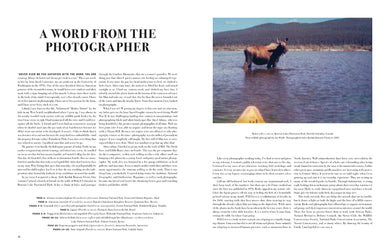 Wild Lives inside page 2