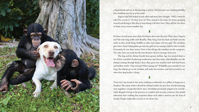 Wild Family inside page 4