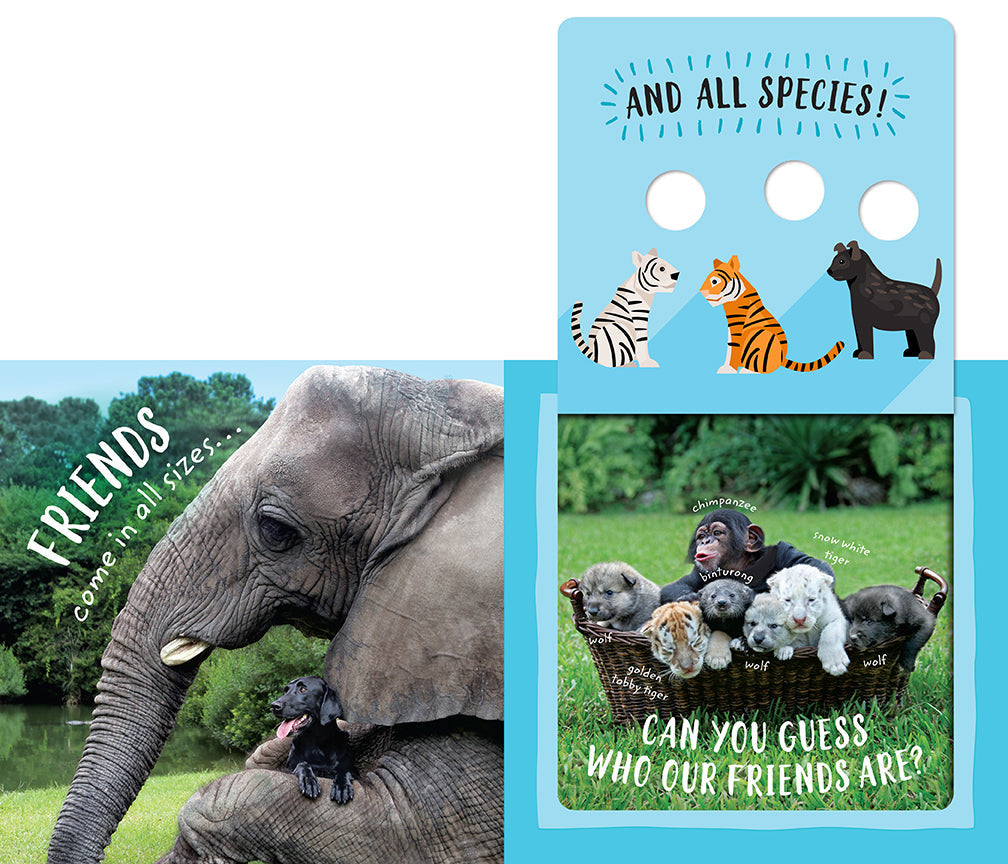 Safari Circle: Animal Pals inside page 1