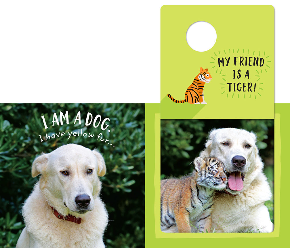 Safari Circle: Animal Pals inside page 2