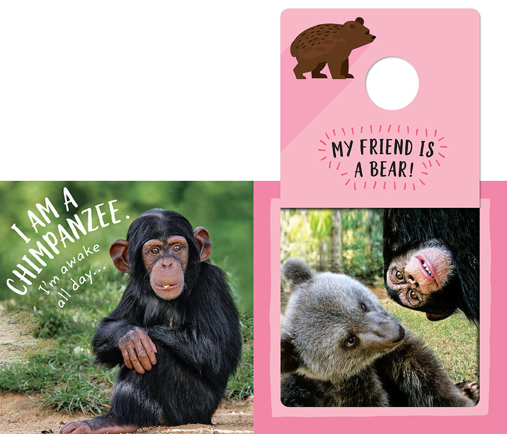 Safari Circle: Animal Pals inside page 3