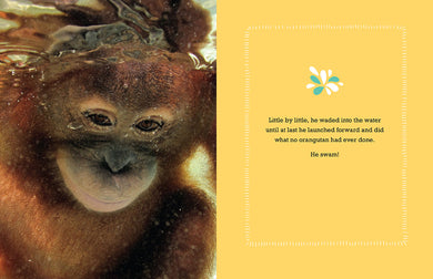 Suryia inside page 3
