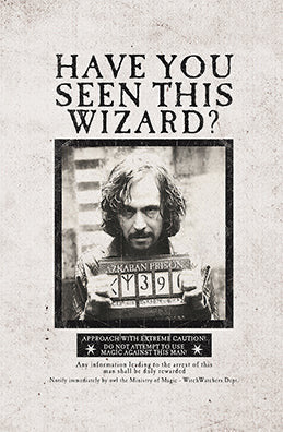 Harry Potter: Wanted Posters Pocket Notebook Collection (Set of 3) inside page 3