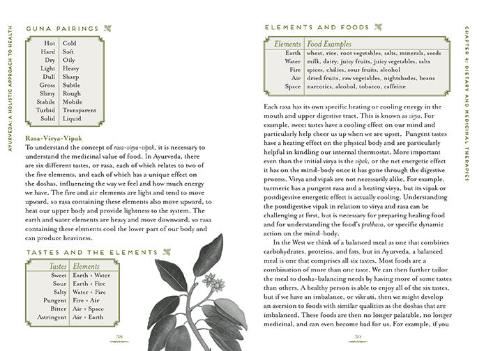 Ayurveda inside page 2