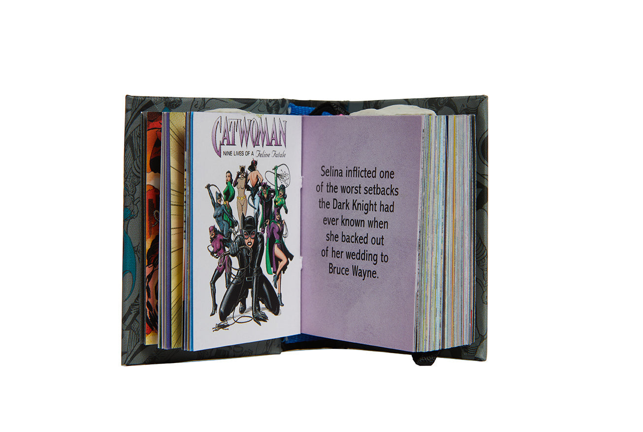 DC Comics: Villains of Gotham City inside page 1