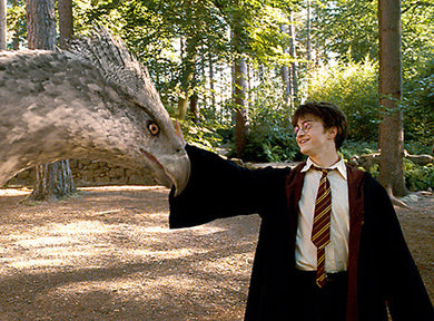 Harry Potter and the Prisoner of Azkaban Enchanted Postcard Book inside page 3