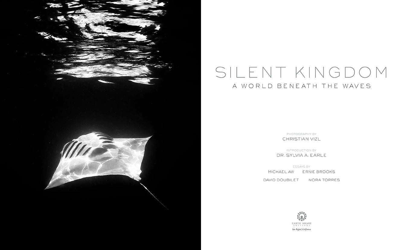 Silent Kingdom inside page 4