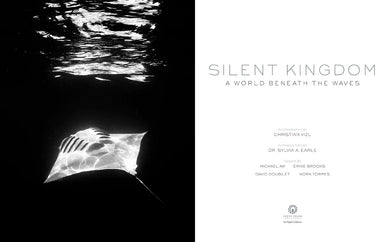 Silent Kingdom inside page 4