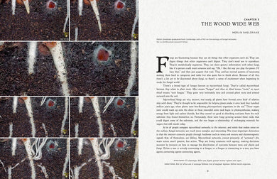 Fantastic Fungi inside page 2