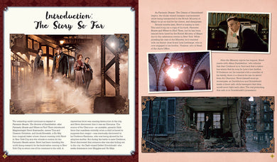 Fantastic Beasts: The Secrets of Dumbledore: Movie Magic inside page 1