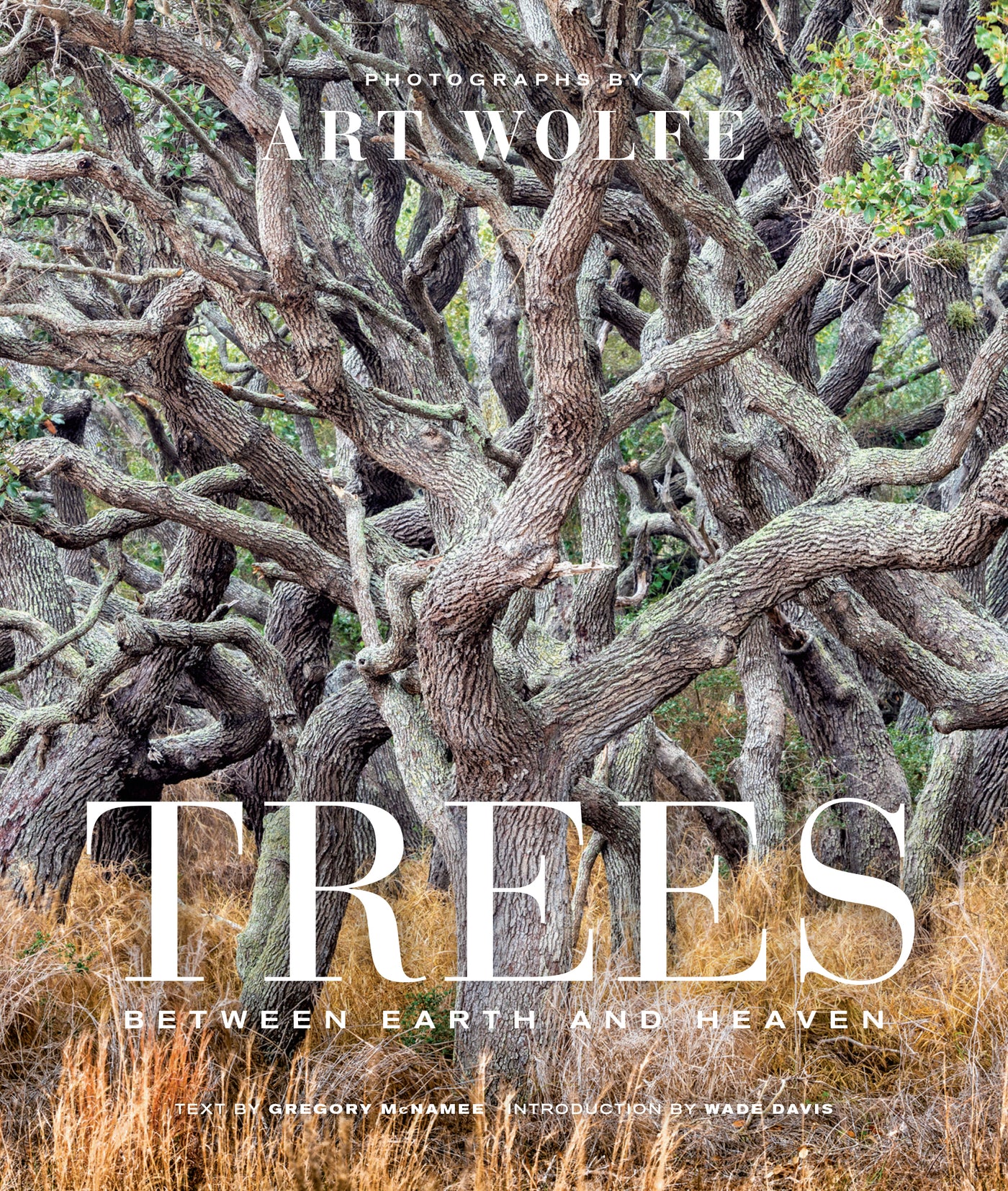 Trees