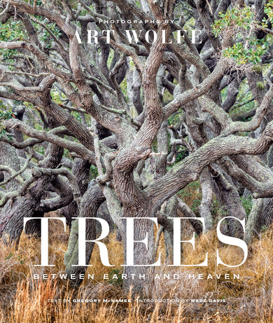 Trees