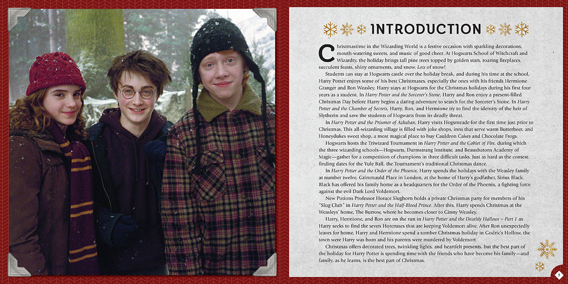 Harry Potter: Christmas at Hogwarts inside page 2