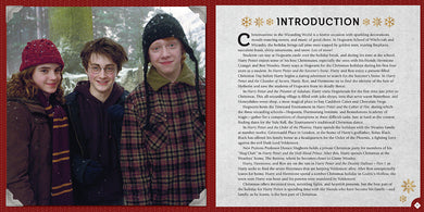 Harry Potter: Christmas at Hogwarts inside page 2