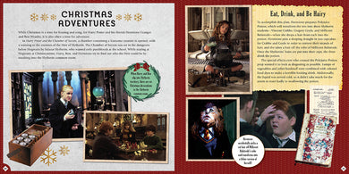 Harry Potter: Christmas at Hogwarts inside page 4