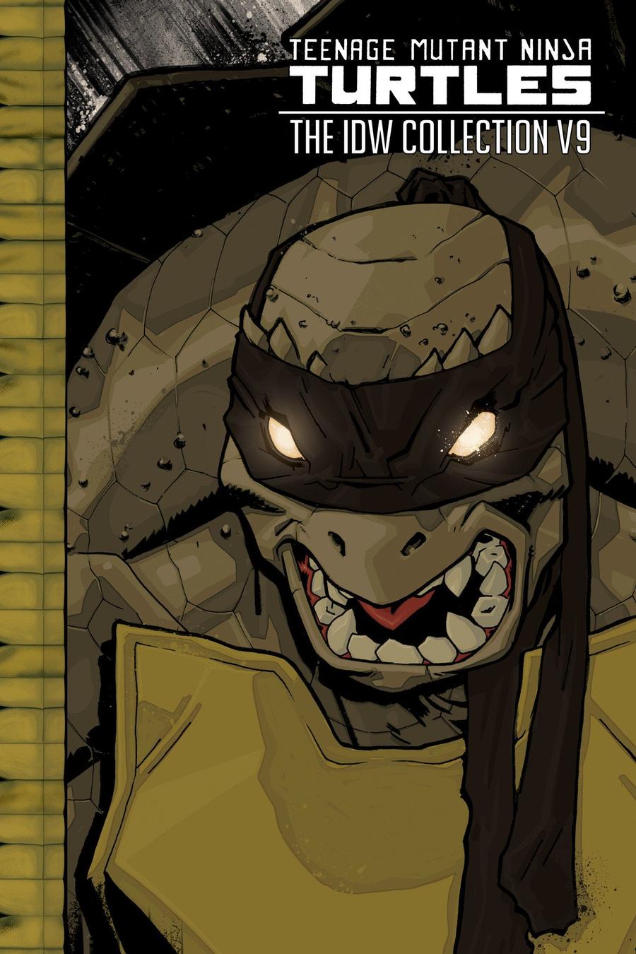 Teenage Mutant Ninja Turtles: The IDW Collection Volume 9-Graphic novel / Comic book / Manga: genres-買書書 BuyBookBook