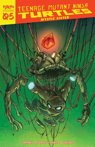 Teenage Mutant Ninja Turtles: Reborn, Vol. 5 - Mystic Sister-Graphic novel / Comic book / Manga: genres-買書書 BuyBookBook