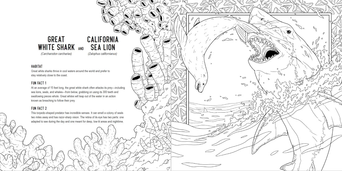 Predators: A Smithsonian Coloring Book US - Paperback / softback