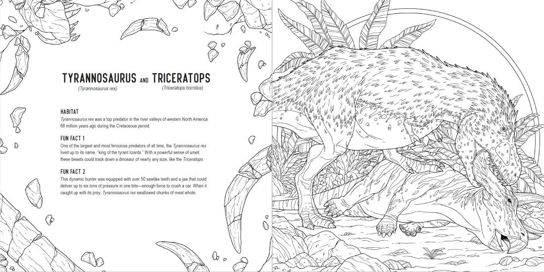 Predators: A Smithsonian Coloring Book US - Paperback / softback