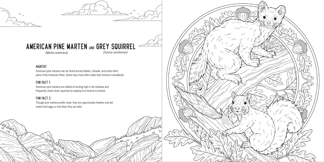 Predators: A Smithsonian Coloring Book US - Paperback / softback