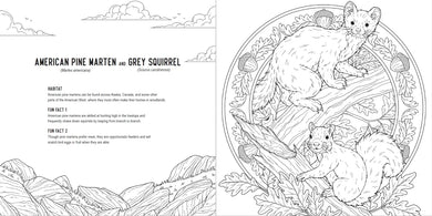 Predators: A Smithsonian Coloring Book US - Paperback / softback