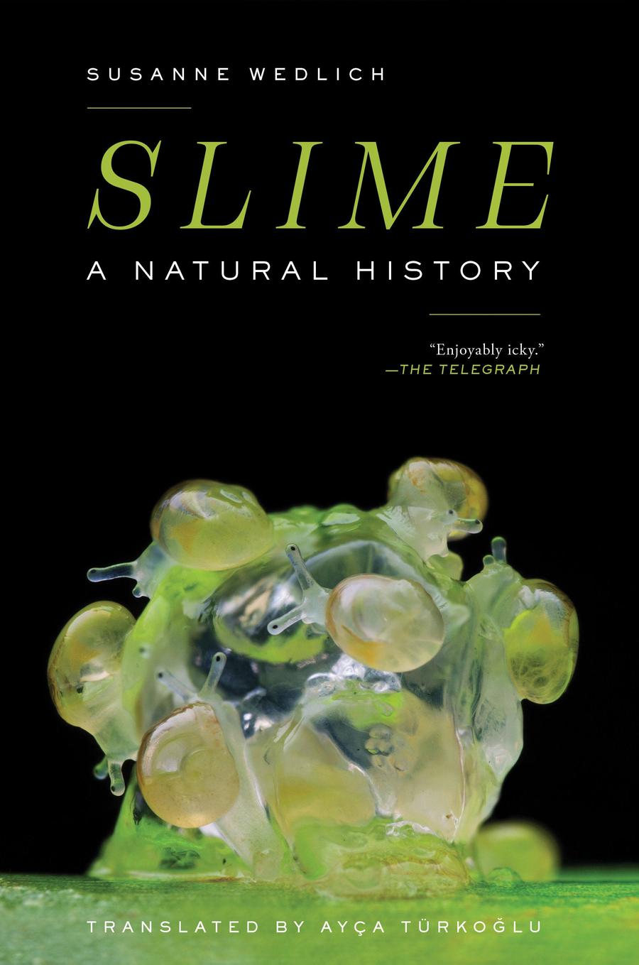Slime-Mathematics and Science-買書書 BuyBookBook