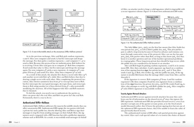 Serious Cryptography, 2nd Edition US - Paperback / softback