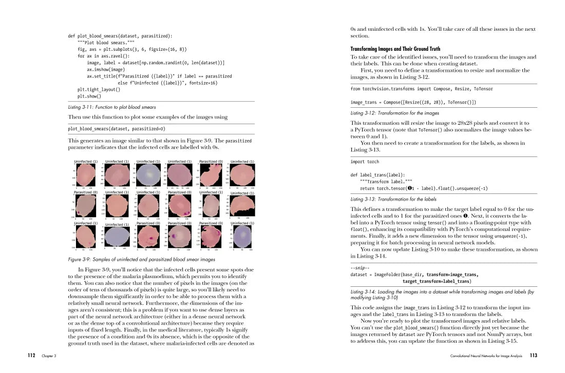 Deep Learning Crash Course US - Paperback / softback