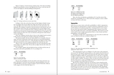 Quantum Computing US - Paperback / softback