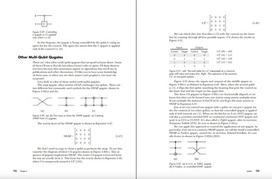 Quantum Computing US - Paperback / softback