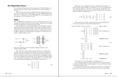 Quantum Computing US - Paperback / softback