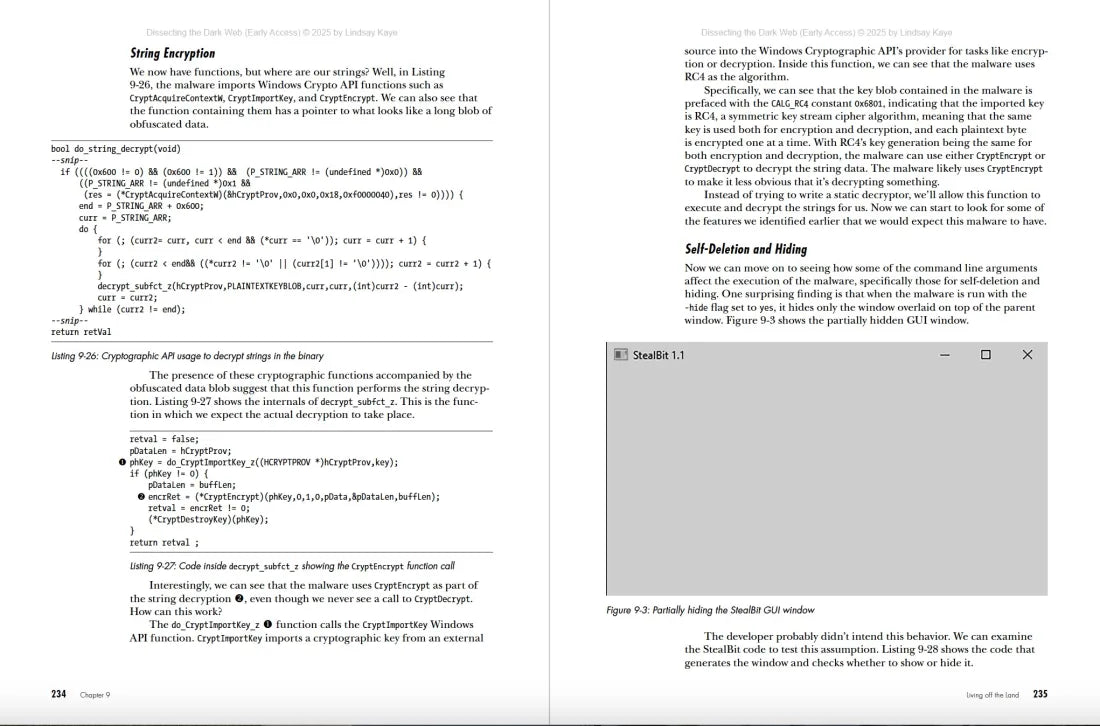 Dissecting the Dark Web US - Paperback / softback