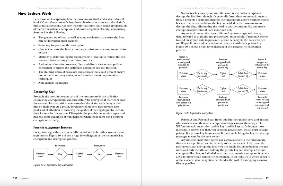 Dissecting the Dark Web US - Paperback / softback