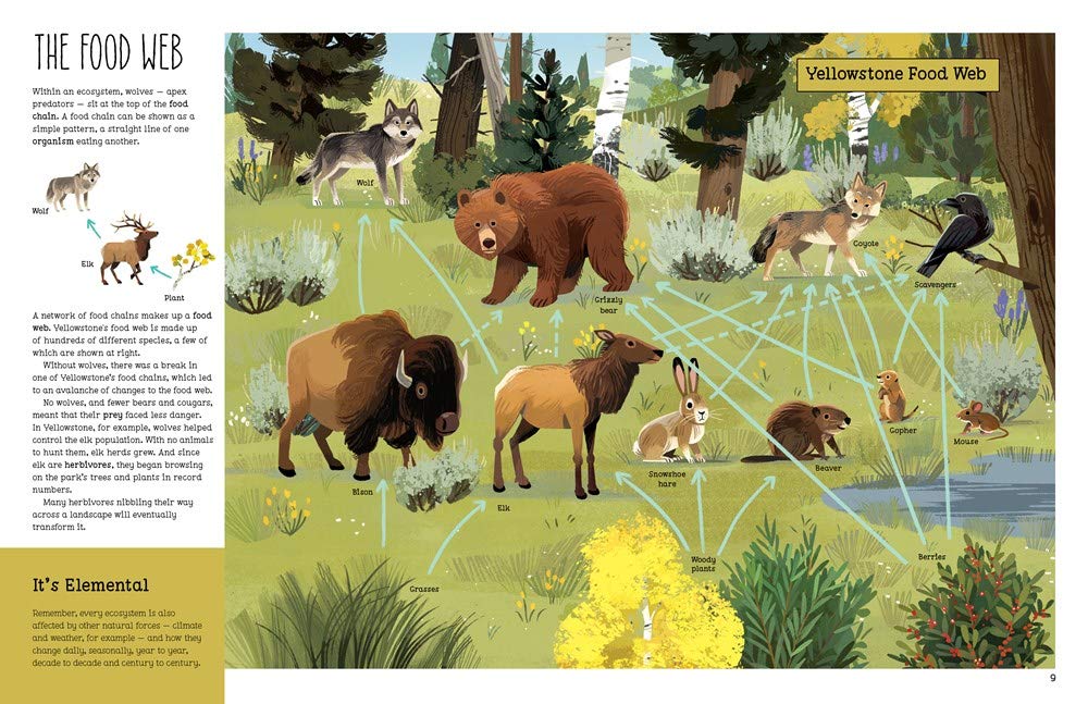 Bringing Back the Wolves: How a Predator Restored an Ecosystem (Ecosystem Guardians) (Jude Isabella)-Nonfiction: 科學科技 Science & Technology-買書書 BuyBookBook