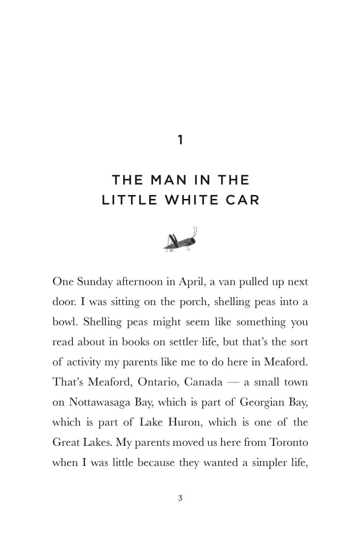 Hans Christian Andersen Lives Next Door CA - Hardback