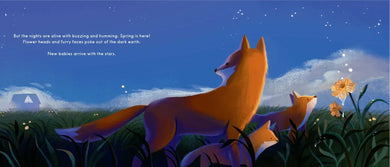 Lights at Night CA - Hardback