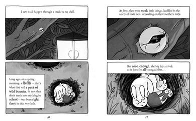 Buns Gone Bad (Fluffle Bunnies, Book