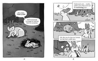 Buns Gone Bad (Fluffle Bunnies, Book