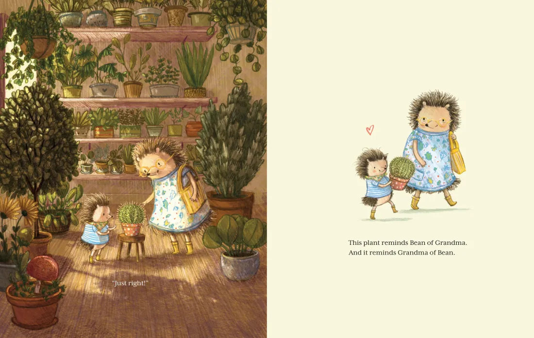 Everyday Bean (Tiny Bean's Big Adventures, Book #1) CA - Hardback